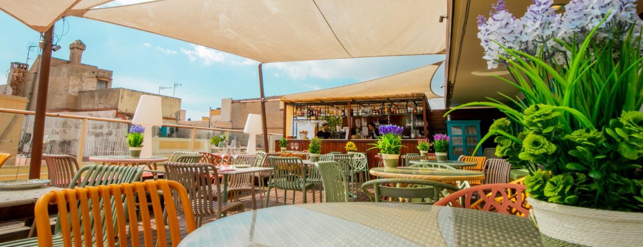 Droits et obligations Ciutat Hotels Droits et obligations Ciutat Hotels